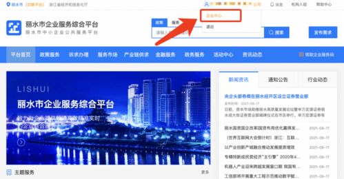 麗水企業(yè) 2021年中小微企業(yè)服務(wù)券申領(lǐng)正式啟動，助力信息技術(shù)咨詢服務(wù)發(fā)展
